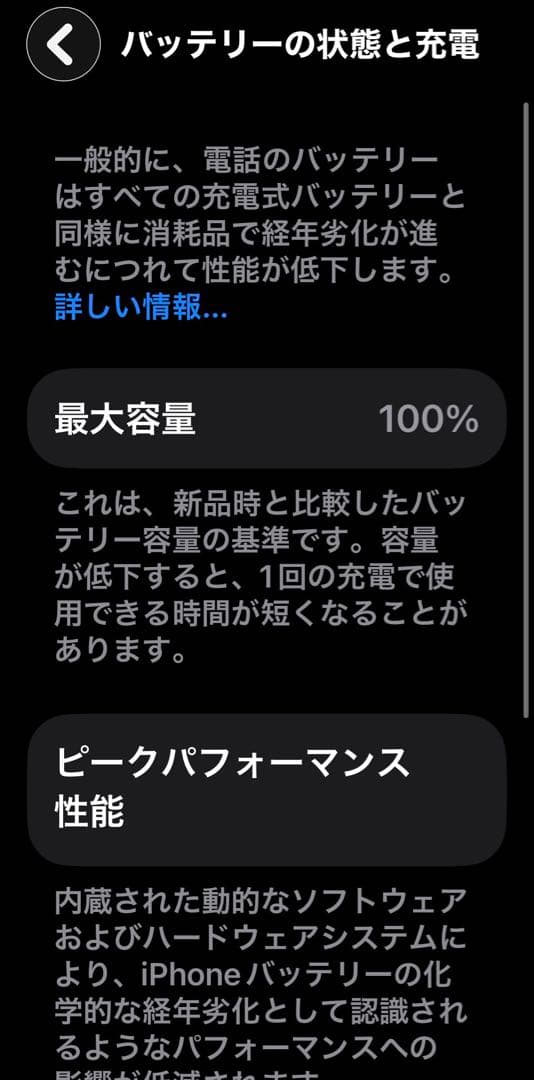 iPhone 13 mini ブルー 256GB 極美品 バッテリー容量100％