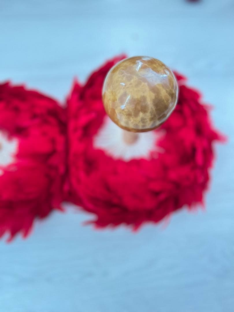 ウリウリ　フラダンス　タヒチアン　赤　羽　黄色　楽器　ハワイ　一体型　２個セット