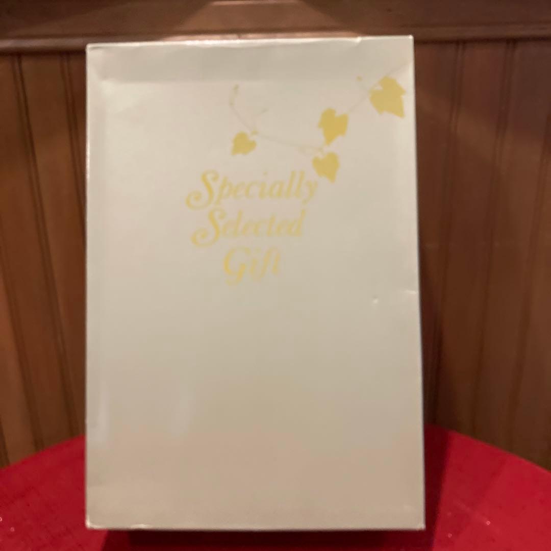 希少　マコンヴィラージュ　1989 ボジョレーヴィラージュ　1990