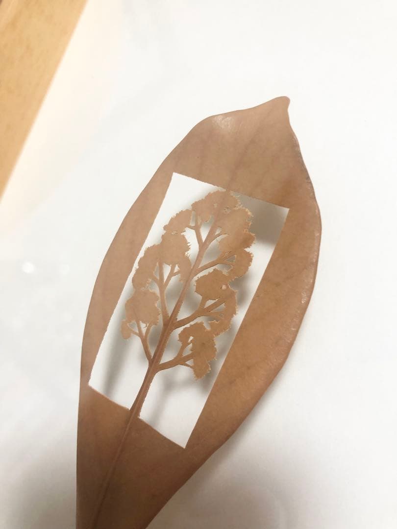 ✨稀少・美品/１点もの/Mitsuru Koga/葉っぱ/切り絵アート