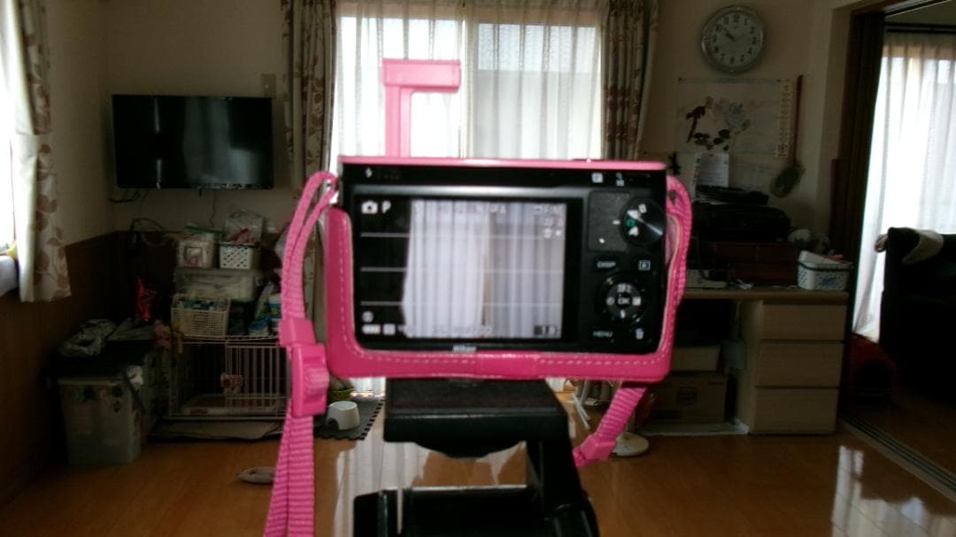 ショット数367枚　NIKON 1 J1 ダブルズームセット 　美品です