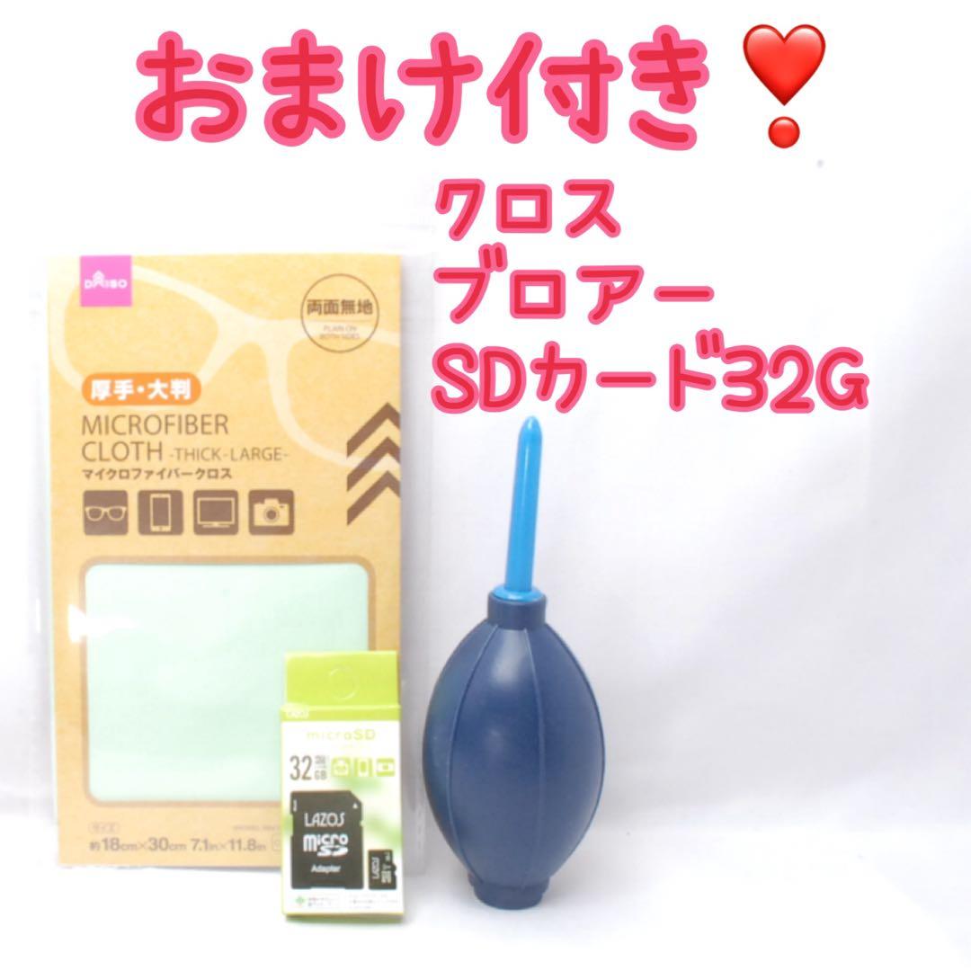 Canon EOS Kiss X5 ダブルレンズ カメラデビューバック付動作良好