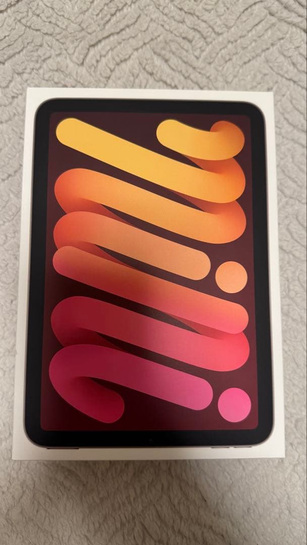 【早い者勝ち】【美品】iPad mini 第7世代 256GB Cellular