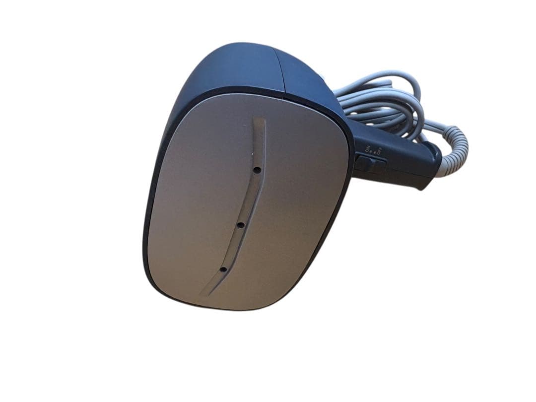 Panasonic NI-MS100 モバイルスチーマー