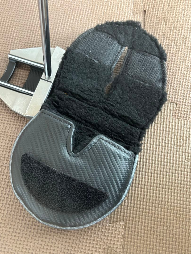 Scotty Cameron Futura 5S パター