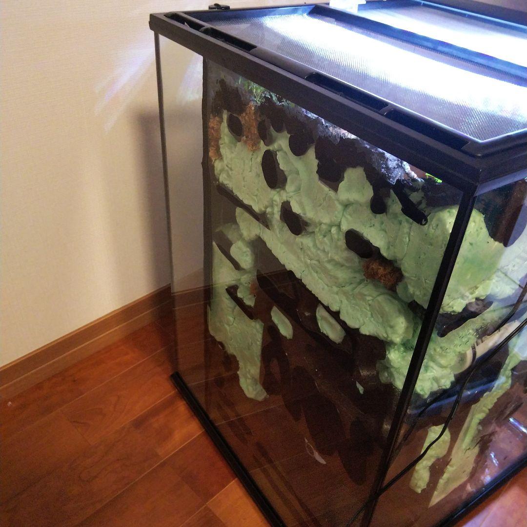 滝のあるアクアテラリウム完成品