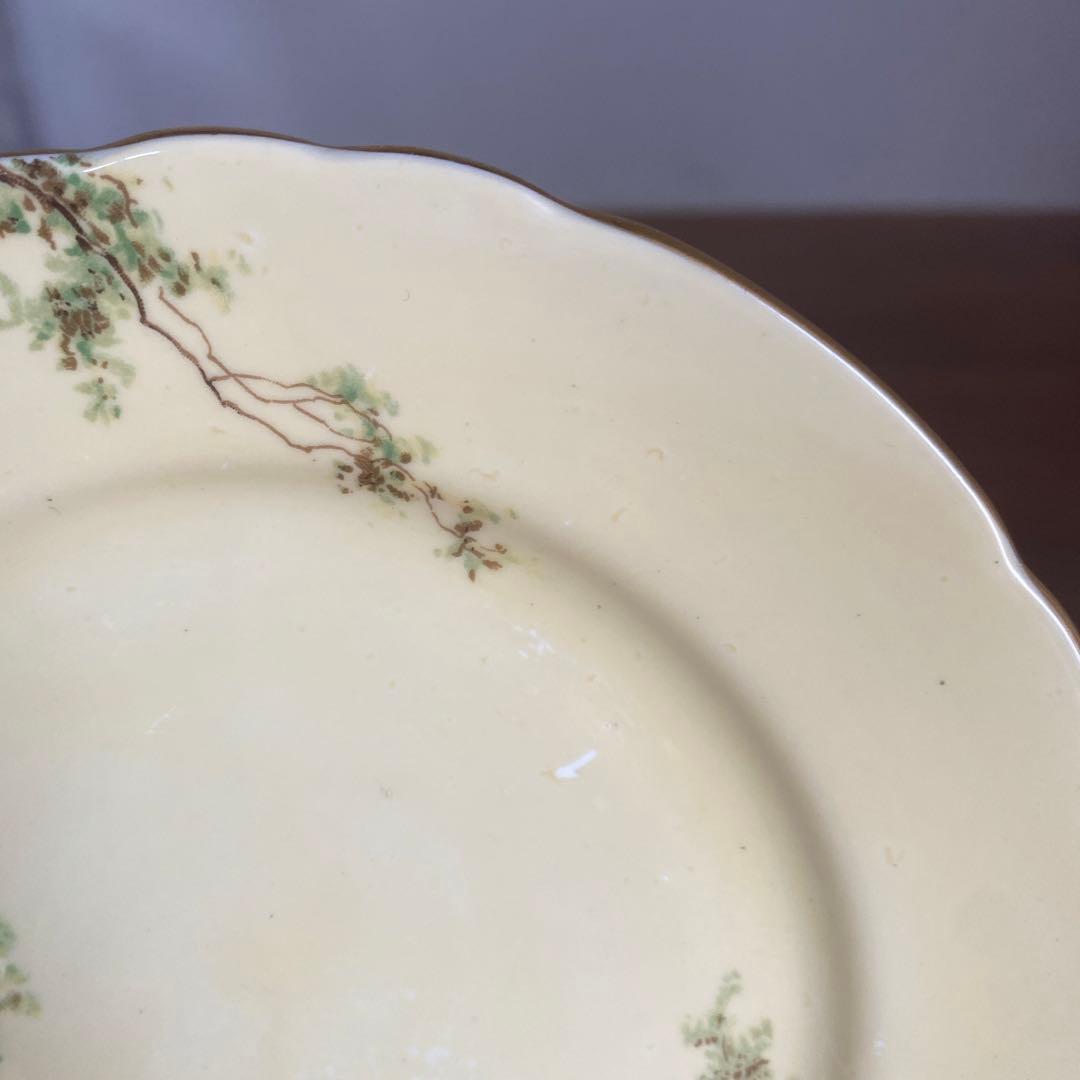 エインズレイ　ブルーベル　クリームイエロー　カルテットカップ　ソーサー　プレート