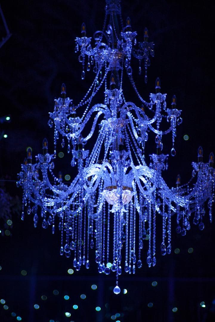 珠玉のポートレートレンズ！CONTAX Planar 85mm F1.4 AEG