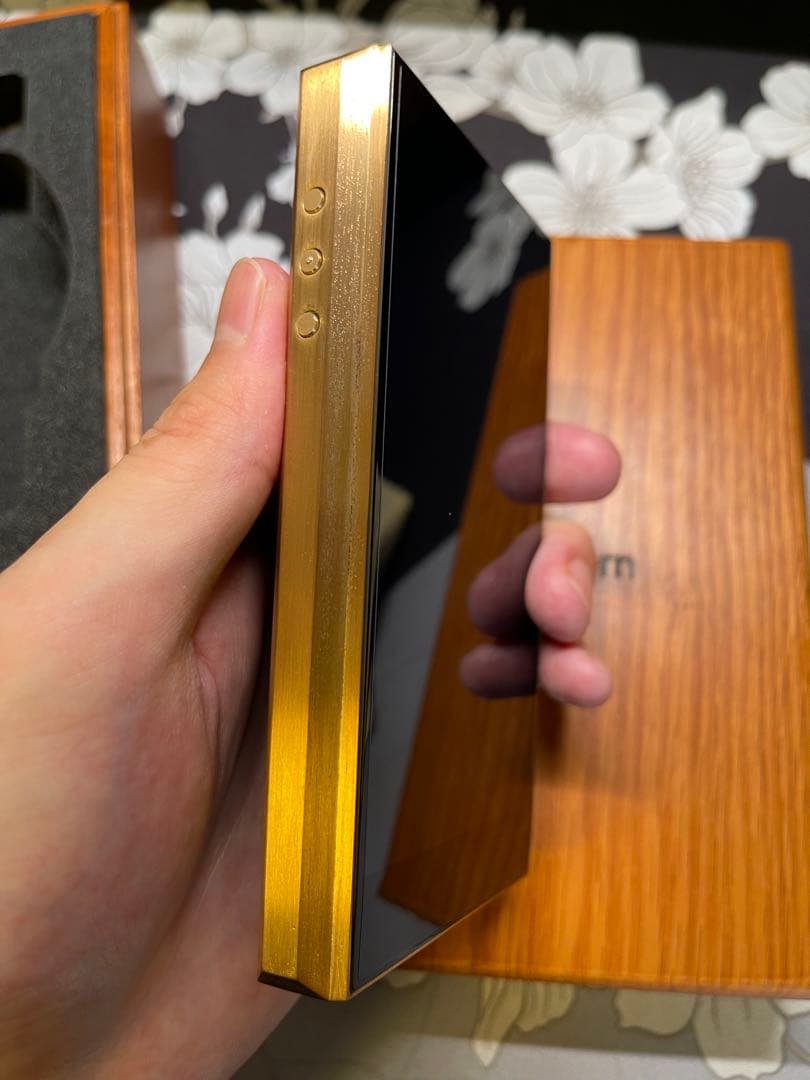 埼*き様 astell&kern sp1000 + AMP