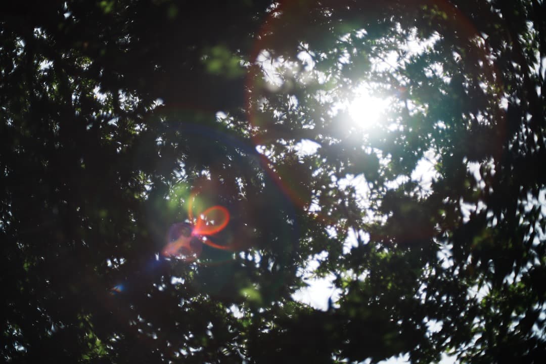 【極美品】動作◎ ニコン　Ai Nikkor 50mm F1.4 758