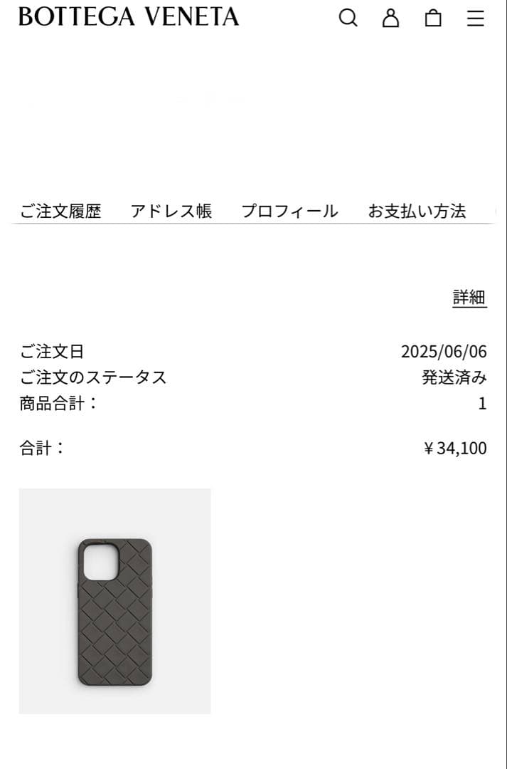 【レア商品！】ボッテガヴェネタ iPhoneケース 15promax ラピリ