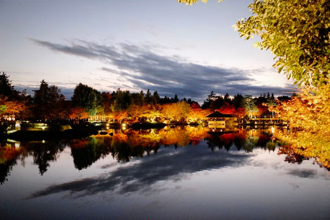 カメラキット付きxiaomi 13Ultra　限定オレンジ16/512GB