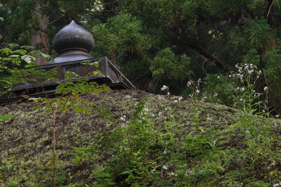 作例付き　SMC PENTAX67 200mm F4 管mpr