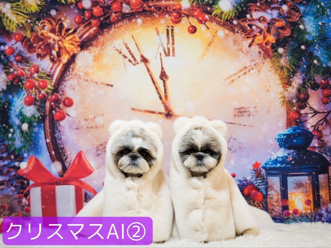 背景布　秋XD③　ペット撮影用フォトブース　ハロウィントリミングチョーカー販売中