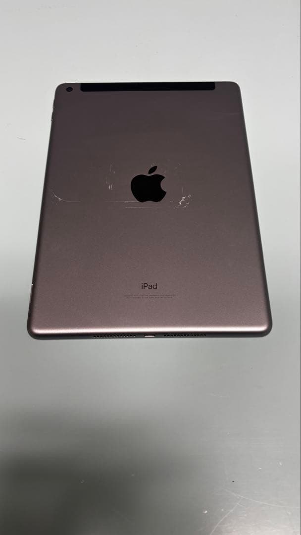 【Apple Pencil・純正充電器セット】Apple iPad