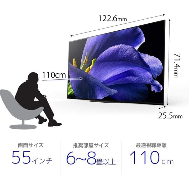 ソニー SONY BRAVIA KJ-55A9G 55インチ 有機ELテレビ