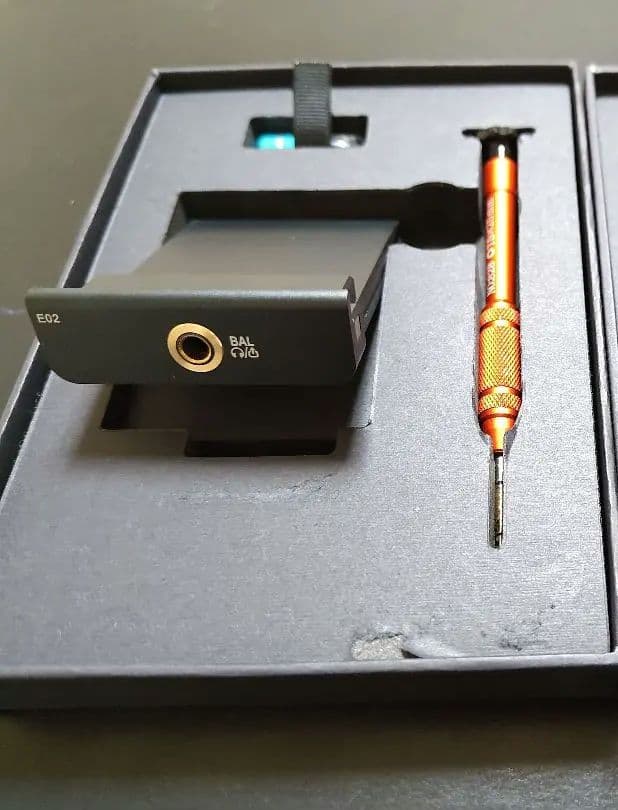 Cayin N6ⅱ T01 +E02オーディオボード