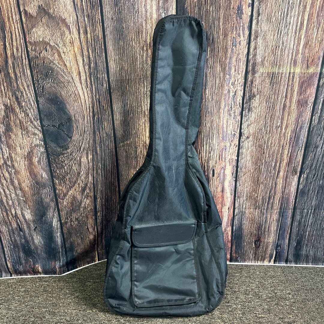 morris モーリス エレキアコースティックギター TR601