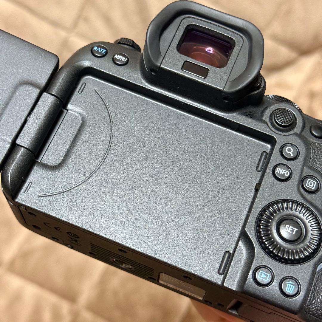 Canon EOS R6 Mark Ⅱ 純正予備バッテリーセット