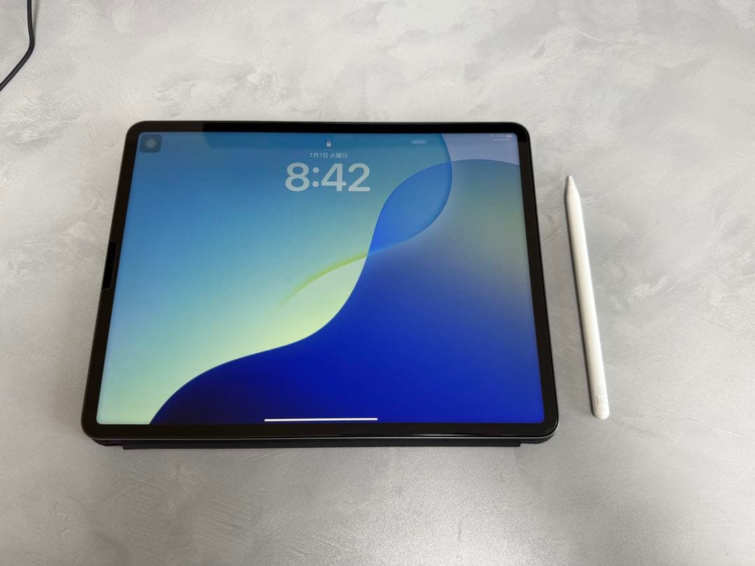 【値下げ対応不可】12.9インチiPadProWi-Fi128GBスペースグレイ