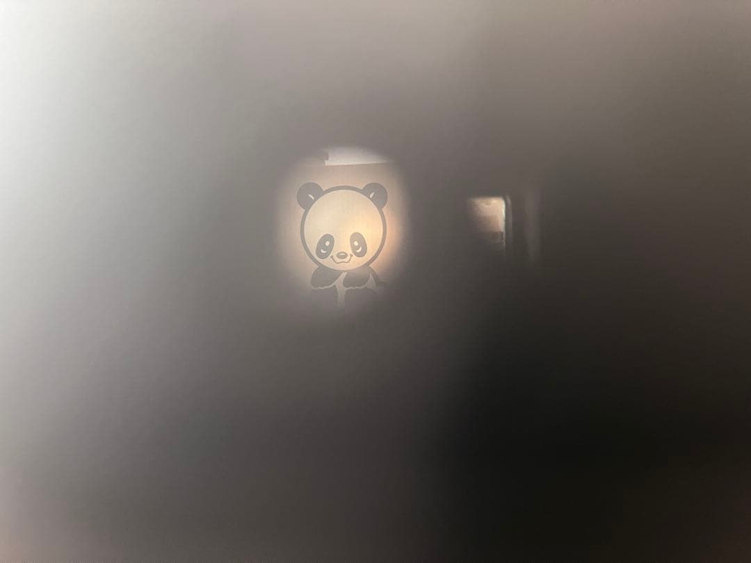 フィルムカメラ Leica 3f