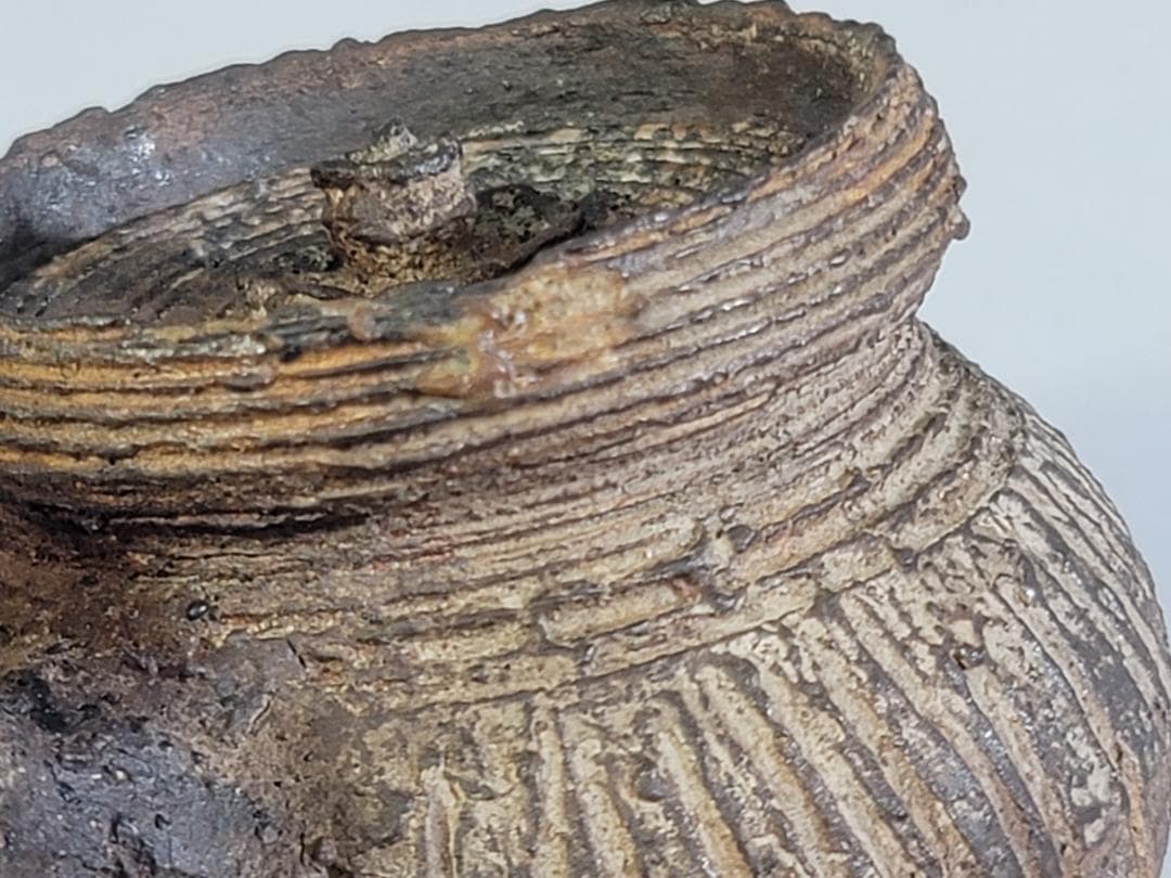 煎茶 南蛮 急須 茶器 時代物 DT430