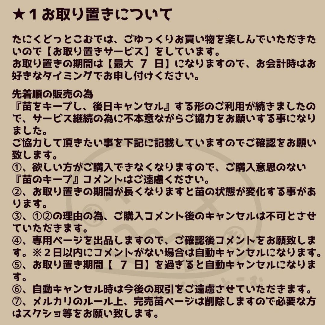 Mariri様