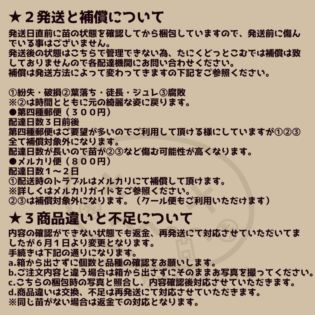 Mariri様