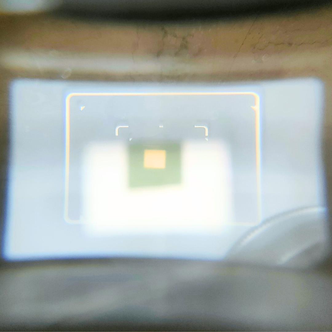 フィルムカメラ NIKON S4 / Nikkor-H.C 5cm f2