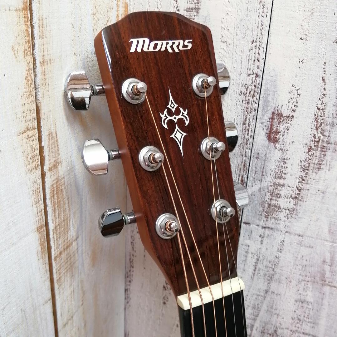 Morris　M-351 NAT　セミハードケース付　アコースティックギター