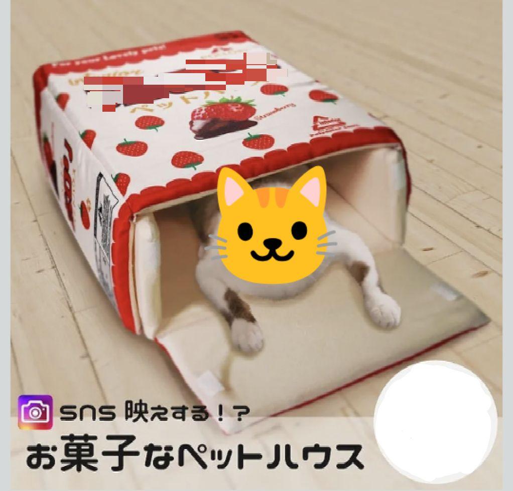 レアな可愛いペットハウス