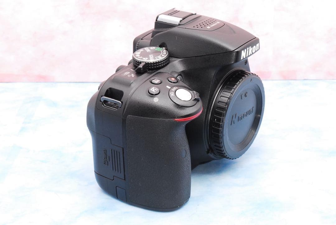 Nikon D5300★Wi-Fi搭載★一眼レフカメラ★手ぶれ補正Wレンズ