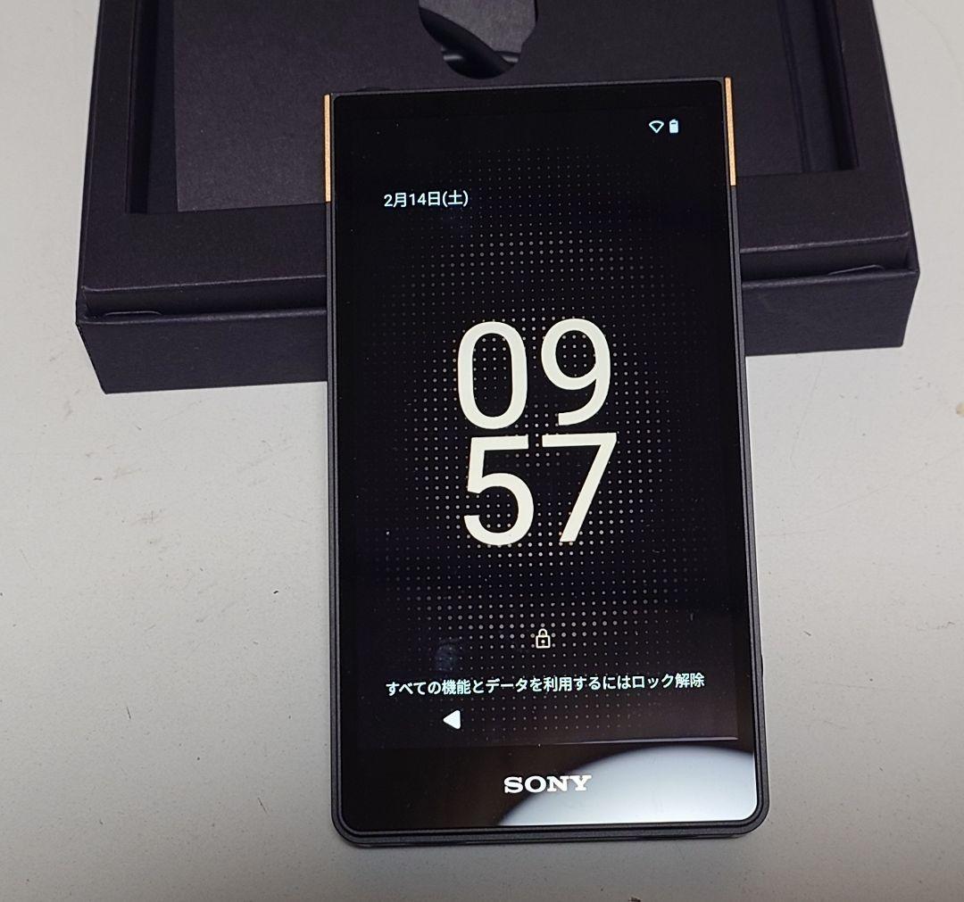 SONY NW-ZX707 WALKMAN 専用純正ケースセット