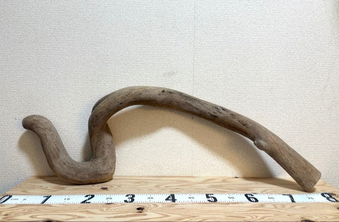 Ｇ79 灰汁抜き処理済　流木　爬虫類　両生類シェルター　観葉植物　インテリア