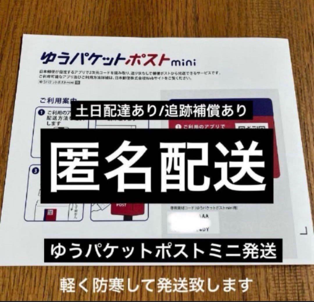 K*s様 【オークション】匿名配送　子株2株　アガべ　白豪刺　OC 脇芽【親株写