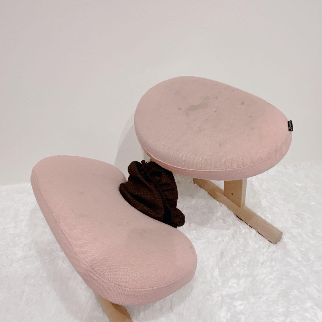 【美品】サカモトハウス バランスチェア バランスイージー 専用カバー付 リボ社