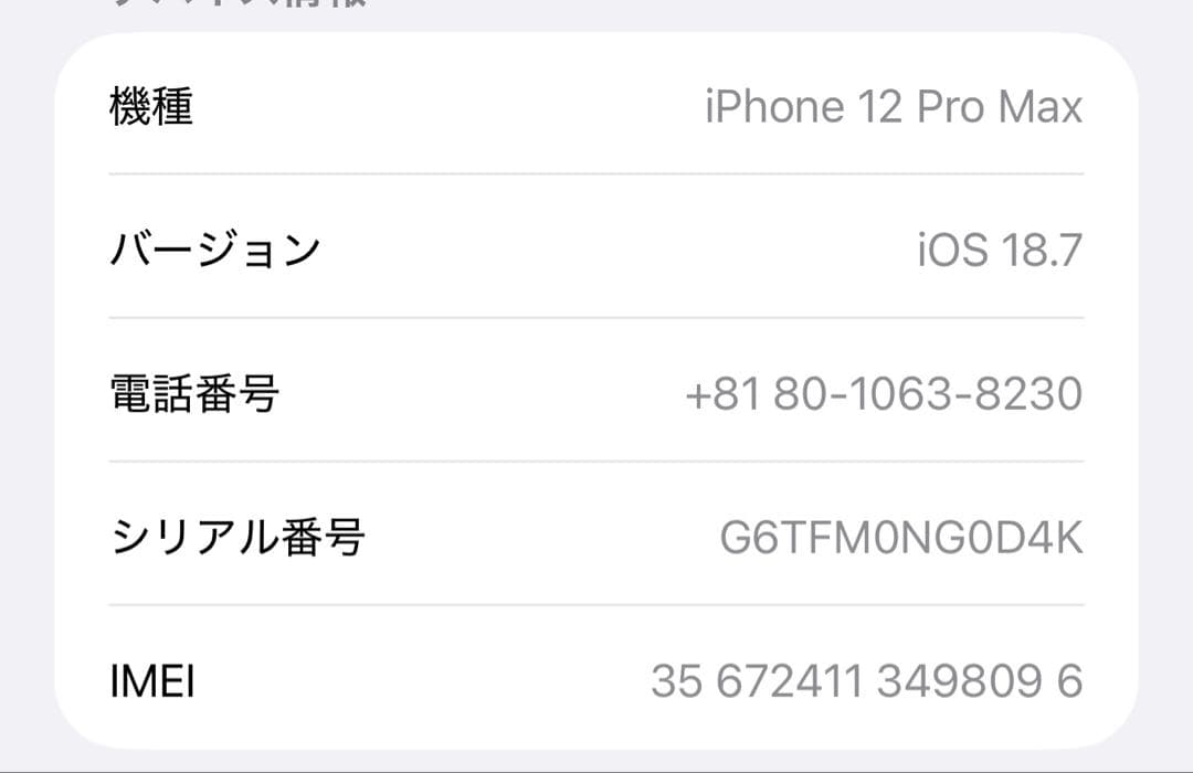 Apple iPhone 12 Pro Max シルバー 256GB