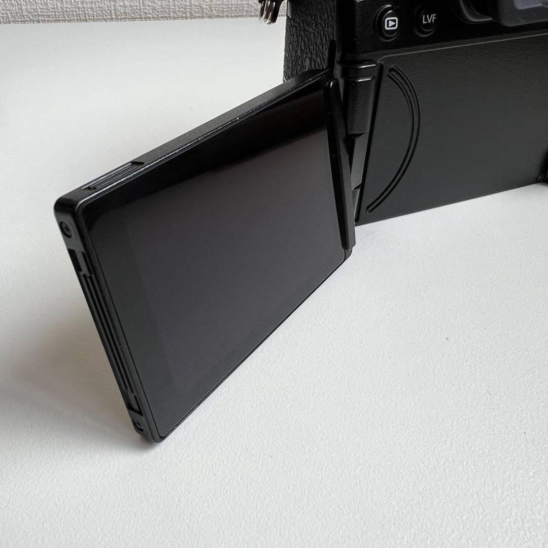 【現状品】Panasonic LUMIX DC-S5 ボディ（電源入らず）