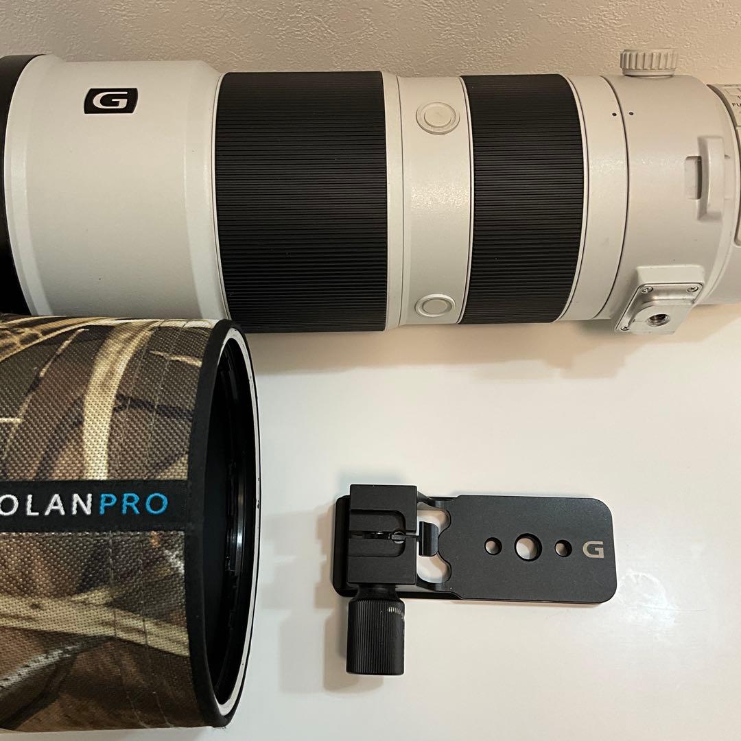 レンズ(ズーム) SONY FE 200-600mm F5.6-6.3 G OSS