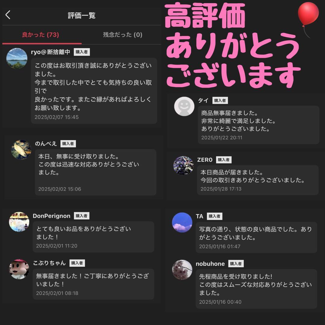 スチームクリーナー 洗浄機 TOSCA 100 ECO 蔵王産業 おそうじ本舗