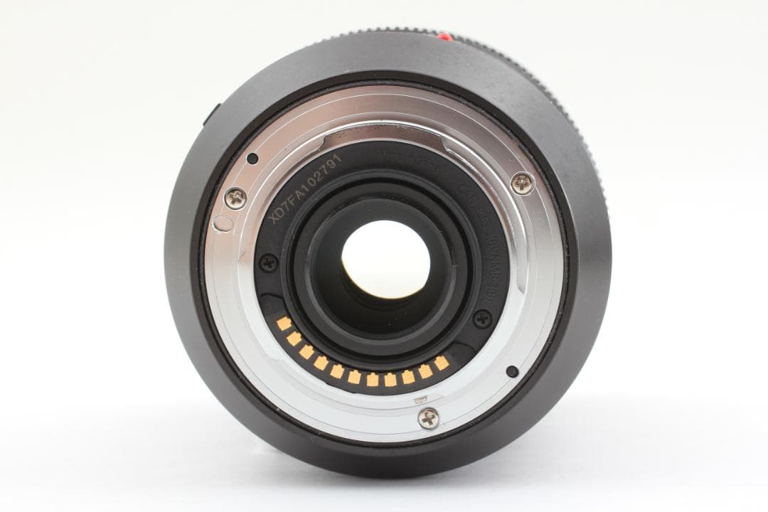 Panasonic LUMIX 1:2.8-4 12-60mm ズームレンズ