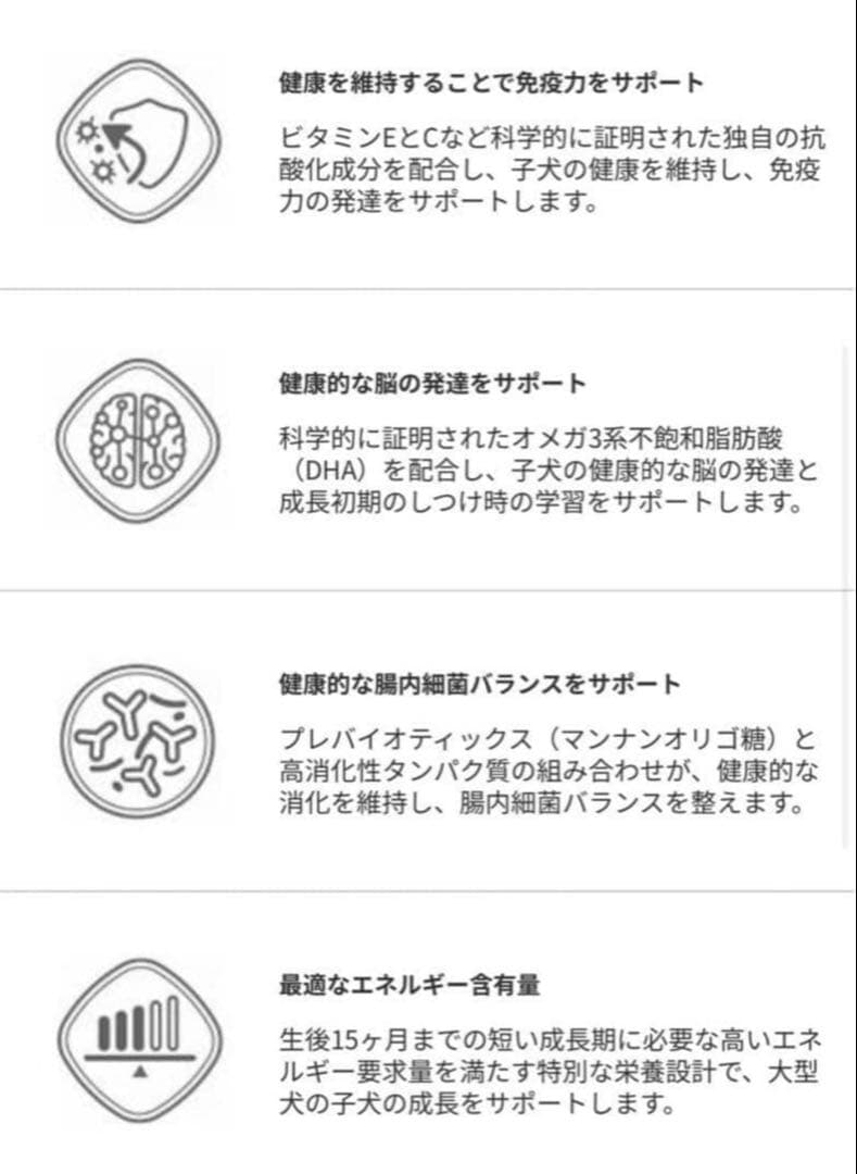  CANIN 大型犬　子犬用　マキシパピー16キロ　ロイヤルカナン