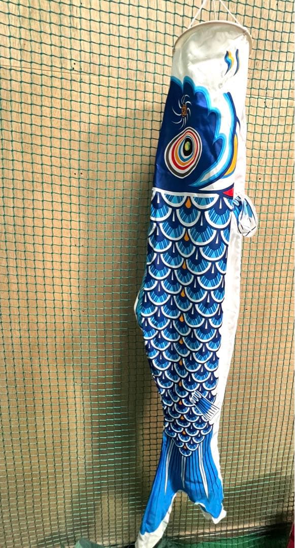 Cページ 【中古】東レシルック 鯉のぼり