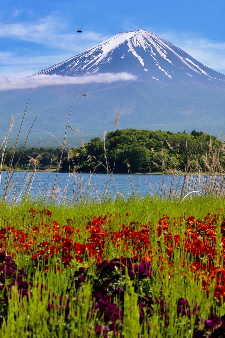 Canon EOS M5 ミラーレスカメラセット