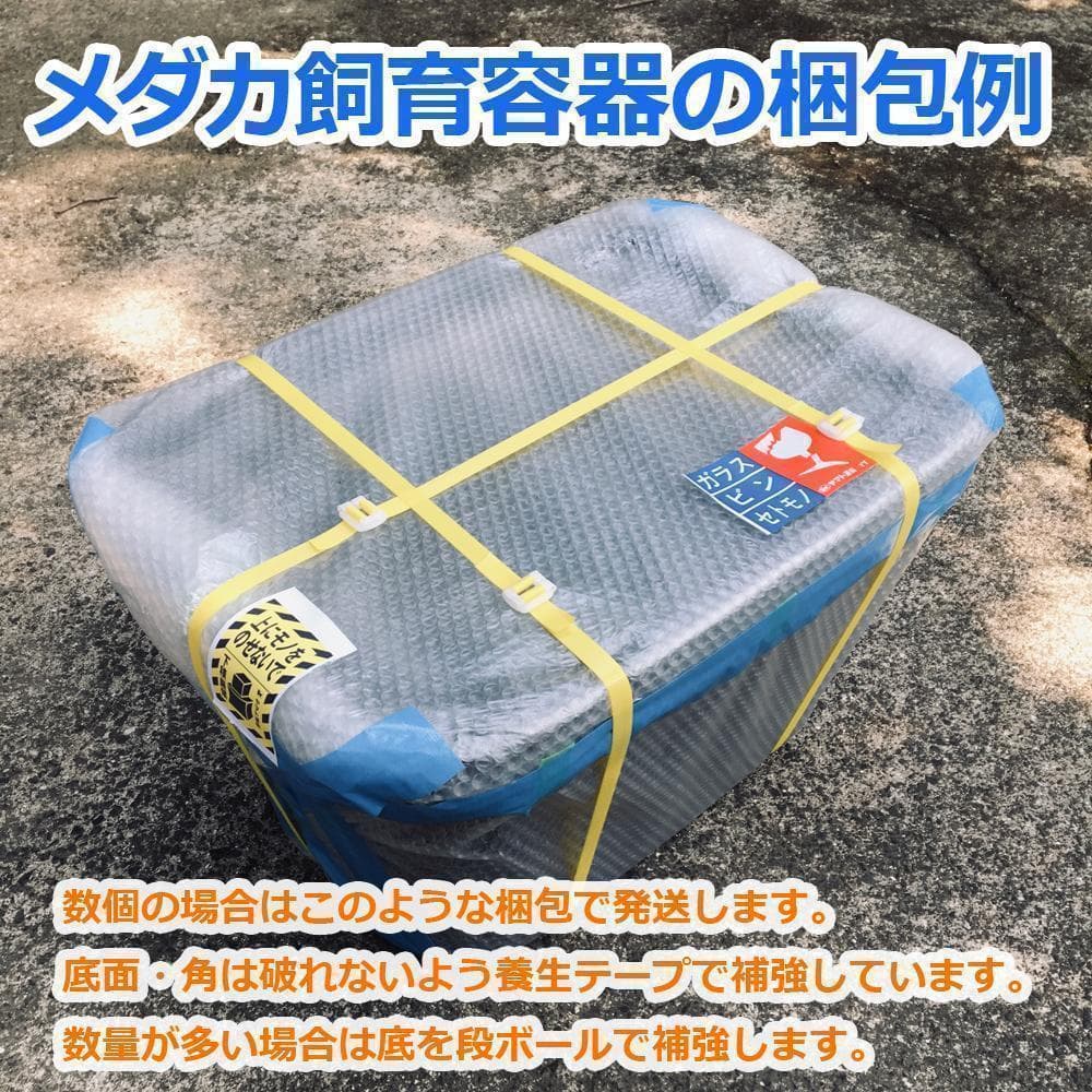 メダカ飼育ケース 75㍑x2個 黒・深緑あり オーバーフロー 金魚飼育容器 越冬