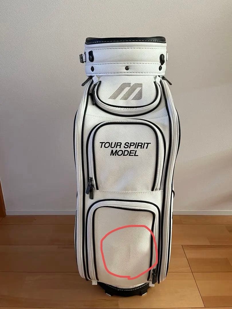 【希少】　レトロ　Mizuno Proキャディバック