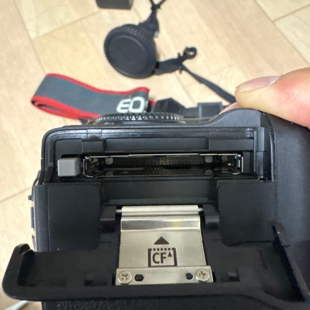 【完動品】Canon DS126131 デジタル一眼レフ