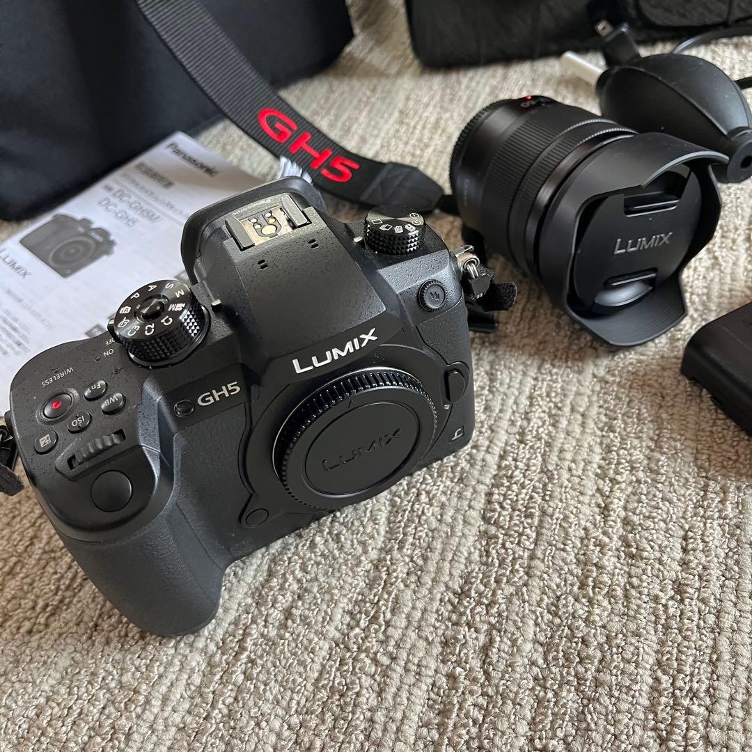 Panasonic LUMIX GH5 12-60ズームレンズセット ケース付き