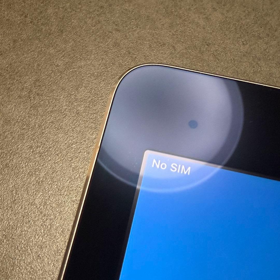 iPad Pro 9.7インチ Cellular 256GB MLQ62J/A