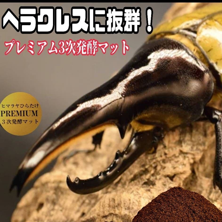 ヘラクレス181ミリ羽化実績！極上！プレミアム3次発酵カブトムシマット　100L
